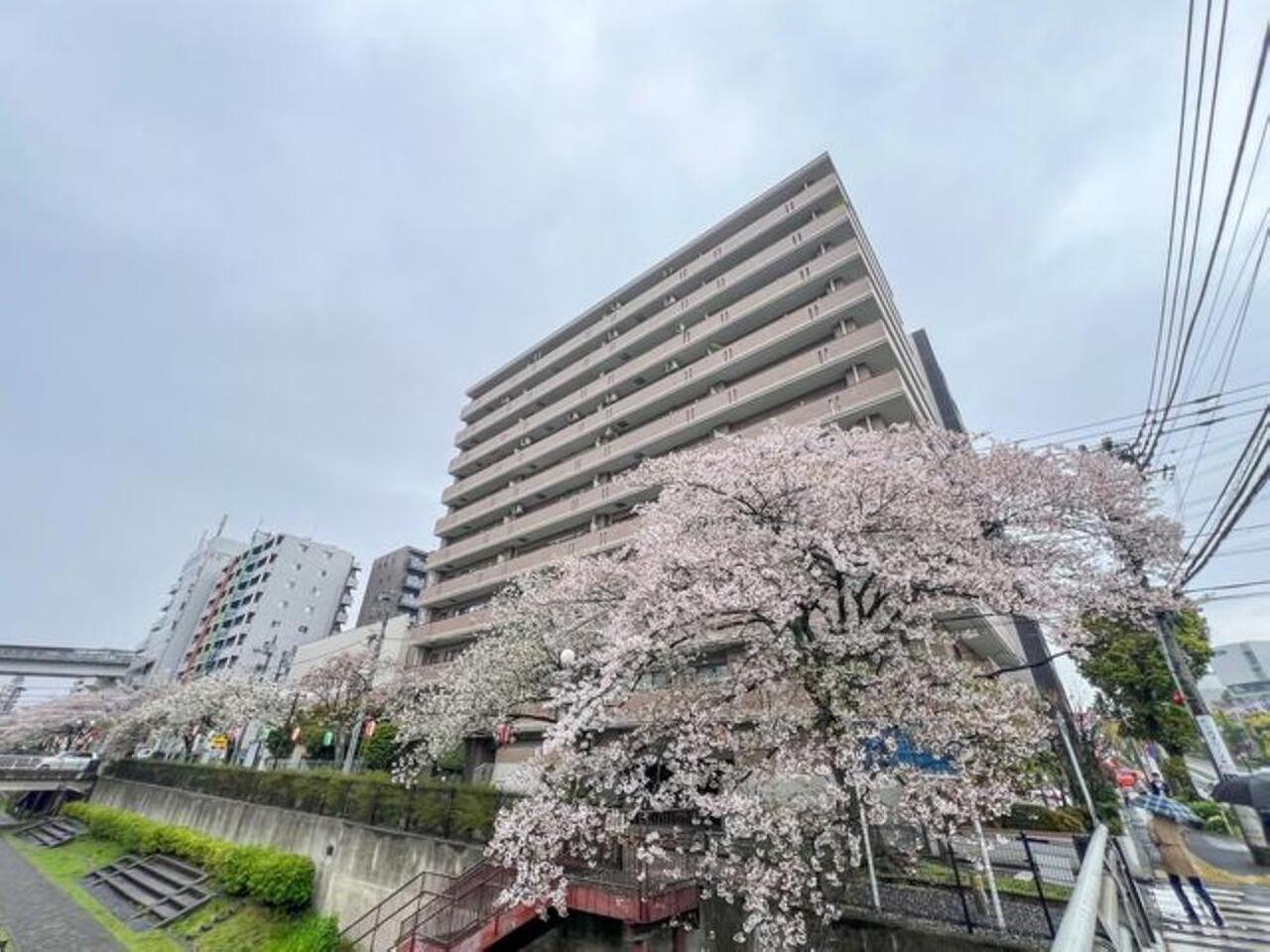 藤和シティコープ多摩センター駅前