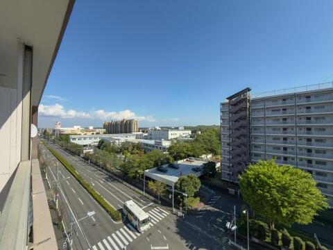 2026年4月撮影