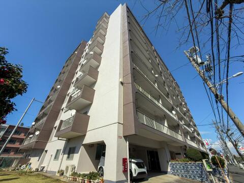 2026年4月撮影