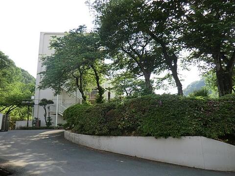 八王子市立浅川中学校まで約1032m