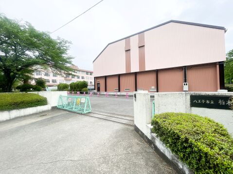 八王子市立柏木小学校270m