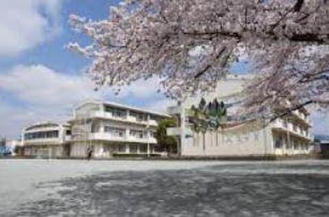 羽村市立羽村西小学校まで約801m