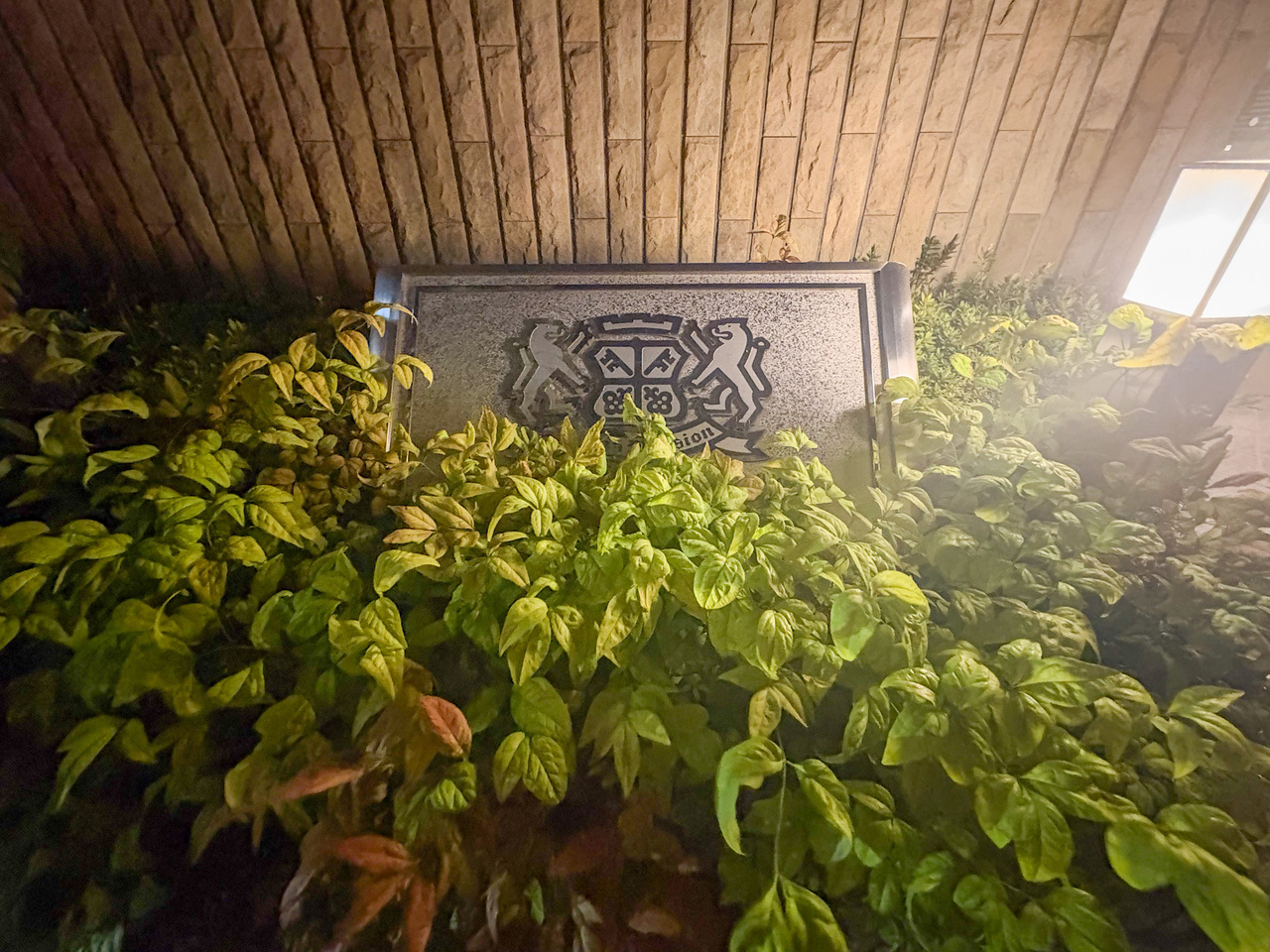 ライオンズマンション河辺シティ　３０５