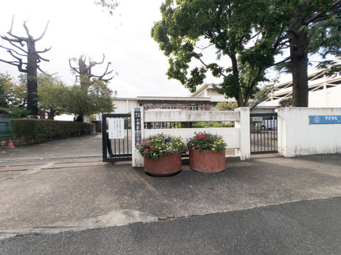小平市立小平第十一小学校まで600m