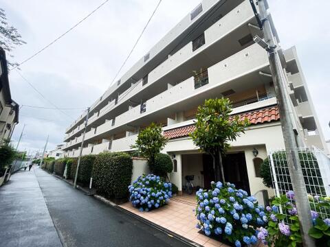 南欧風の明るい瓦屋根と、見事に咲き誇る紫陽花が優雅な雰囲気を醸し出す低層マンション。白を基調とした爽やかな外壁が、青々と茂る生垣の緑に美しく映え、街並みに洗練された落ち着きと存在感を放っています。