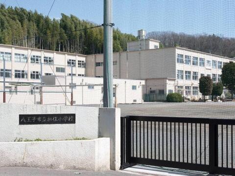 八王子市立加住中学校まで約1100m
