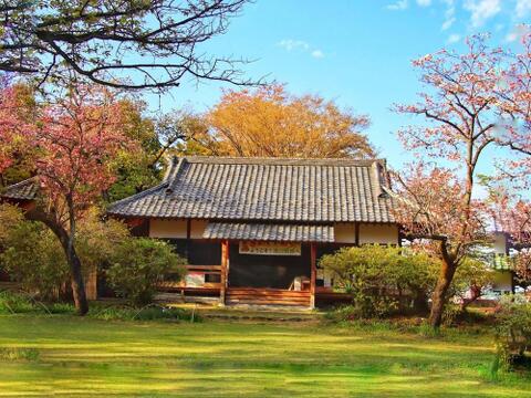 滝山公園・滝山城跡まで約300m
