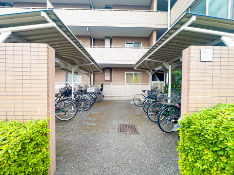2026/5/21撮影
