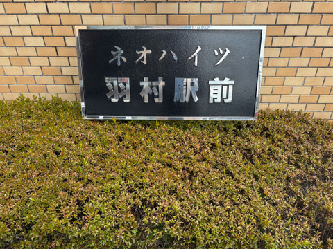 2026年5月撮影