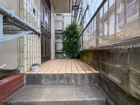 2026年6月撮影