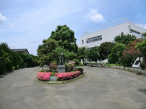 府中市立南町小学校まで約570m