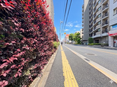最寄り駅まで徒歩10分以内の使いやすい立地。無理なく歩いて駅にアクセスできる距離感は、毎日の通勤・通学を快適にし、日常生活の利便性を高めます。
