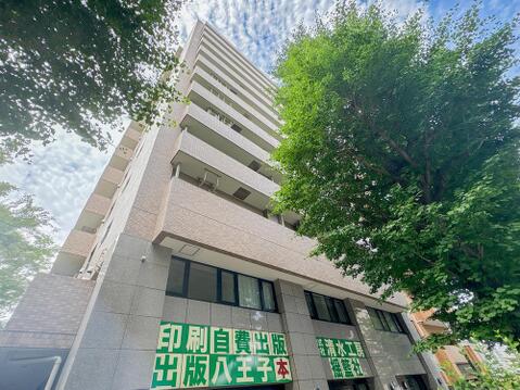 2026年6月11日撮影