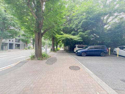 2026年6月11日撮影