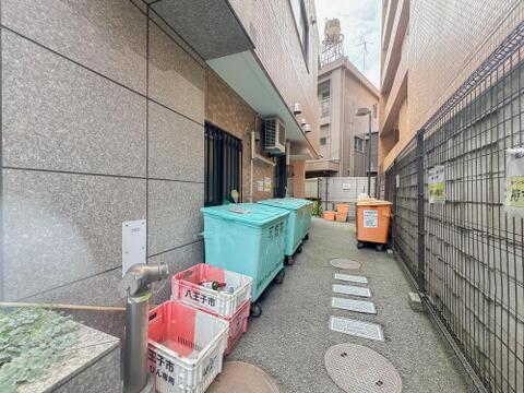2026年6月11日撮影