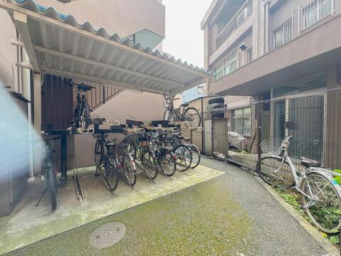 2026年6月11日撮影