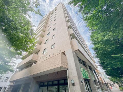 2026年6月11日撮影