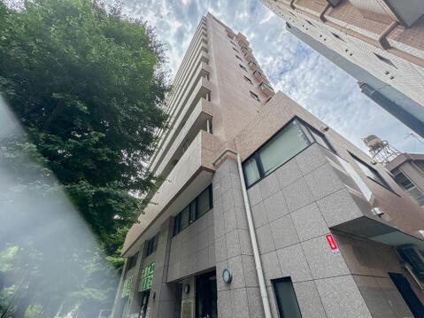 2026年6月11日撮影
