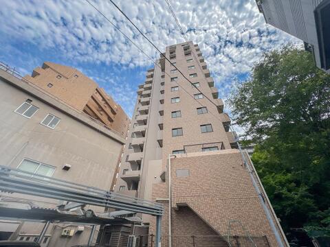 2026年6月11日撮影