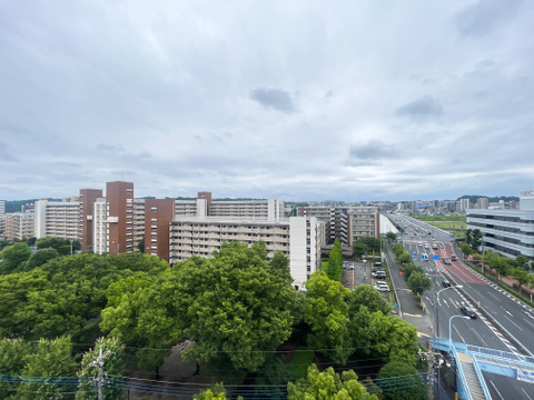 バルコニーの前面に視界を遮る高い建物がなく、どこまでものびやかな開放感が広がる大パノラマ。眼下に広がる豊かな緑の公園や遠くの街並み、刻々と美しく移り変わる広い空を日常の景色として贅沢に楽しめます。
