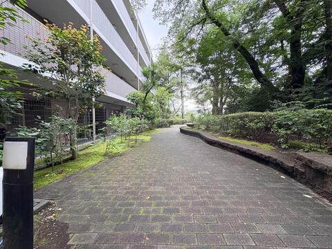 敷地内に広がる、緑豊かな美しい遊歩道。四季折々の自然を感じながら、心地よくお散歩が楽しめます。