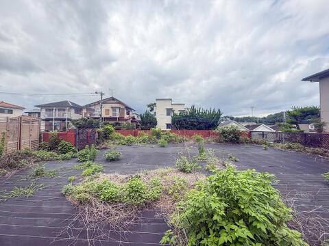 (撮影日:2026年7月)
