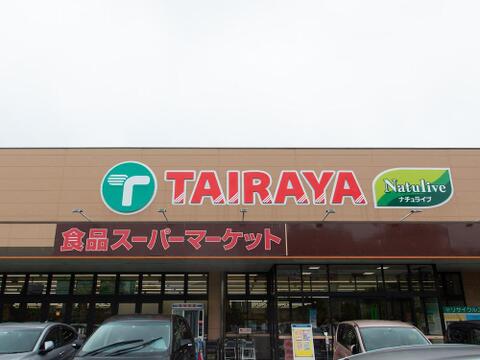 エコスTAIRAYA西寺方店まで約242m