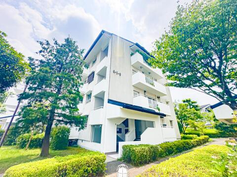 現地(2026年7月)撮影