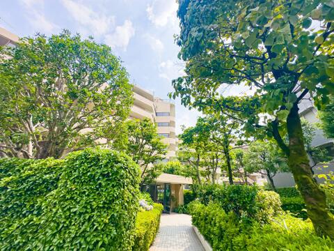 植栽のお手入れが行き届いており、管理状態の良さを感じさせます。共用スペースも皆さん大変綺麗にお使いです。2026/7/16撮影