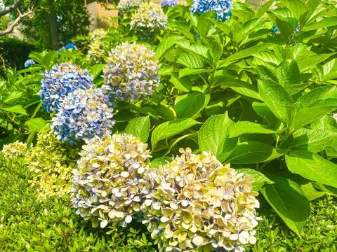 ご不明な点や気になる点など、お気軽にお問い合わせください。~365日年中無休(原則即日対応。深夜・早朝除く。)~2026/7/16撮影