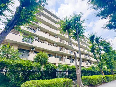 お部屋は、日当たり・通風・眺望が良好な6階の角部屋です。室内は大変綺麗にお使いです。2026/7/16撮影