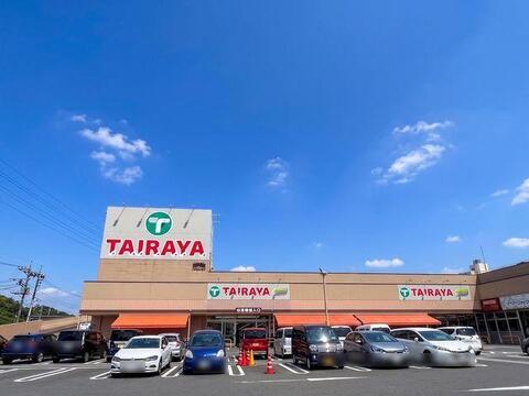 TAIRAYA奈良橋店まで約1057m