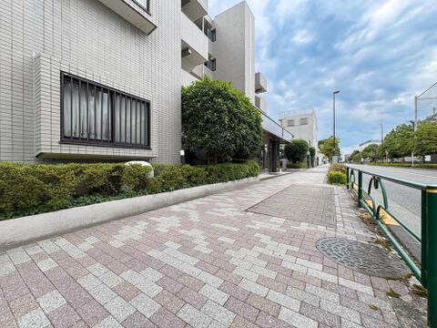 綺麗に舗装された見通しの良い前面道路。歩道が広く整備されており、日々の移動も快適・安全です。