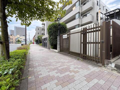 街路樹の緑が心地よい広々とした歩道。フラットで歩きやすく、夜間の帰宅も安心の住環境です。