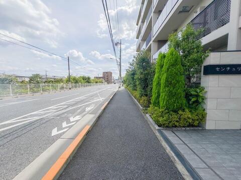 8月9日現地撮影