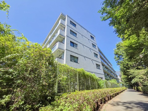 現地外観写真(2026年8月7日)現在、室内リノベーション工事中。