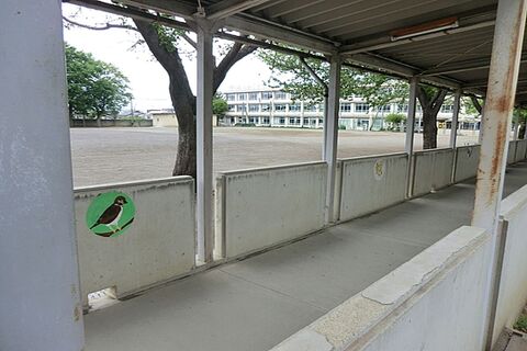 小平市立小平第一中学校 800m