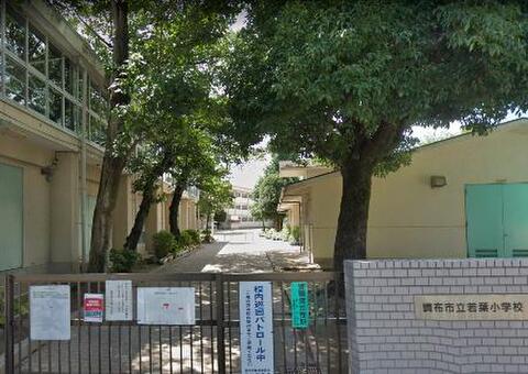調布市立若葉小学校まで約700m