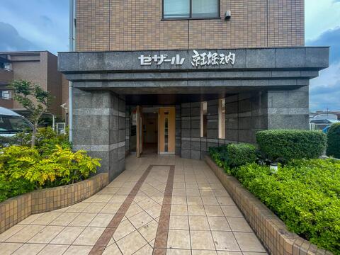 重厚感のある石貼りデザインが印象的な「セザール新堀内」。緑豊かな植栽が住人を温かく迎えます。
