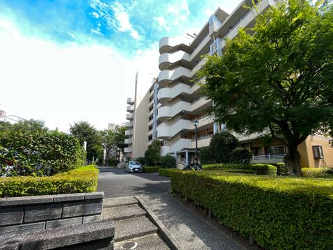 青空と豊かな緑に包まれた敷地内アプローチ!広々とした歩道と手入れされた植栽が心地よい住環境。