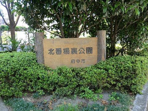北番場裏公園まで約96m