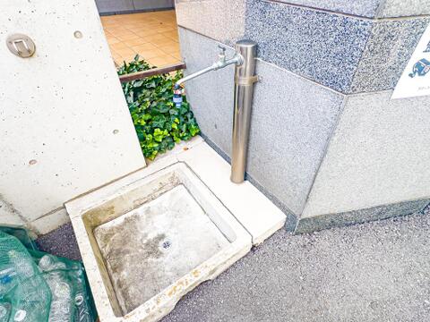 現地(2026年8月)撮影