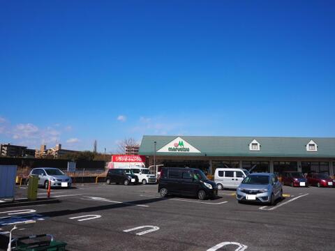 マルエツ武蔵砂川店まで約1078m