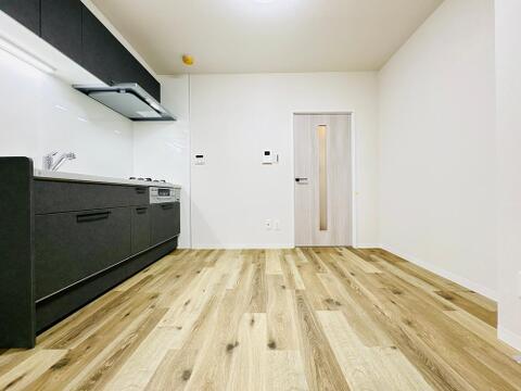 新規交換されたシステムキッチン。お部屋に馴染むスタイリッシュなデザインです。