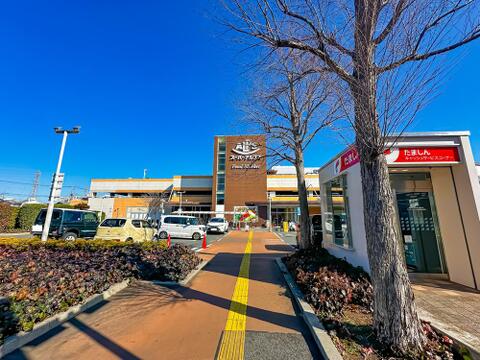 スーパーアルプス日野店まで約715m