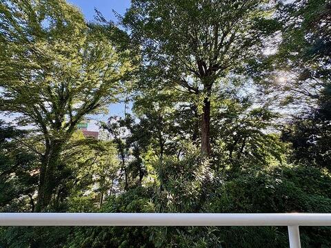 現地からの眺望(2026年9月)撮影バルコニーの前面に緑が広がる、心地よい眺望。周囲の視線を気にせず過ごせるプライベート感があり、木々の隙間から光やわらかが差し込む癒やしのロケーションを楽しめます。
