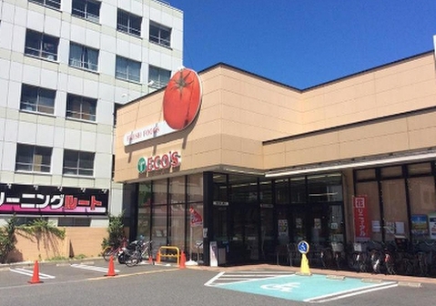 エコス 大横店 261m