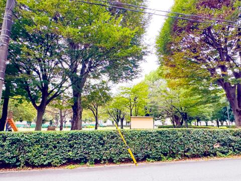 目の前に「昭島市立北文化公園」がございます。子育て世帯のお客様にもオススメなエリアです。現地(2026年10月)撮影
