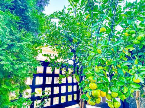 植栽のお手入れが行き届いており、管理状態の良さを感じさせます。2026/10/8撮影