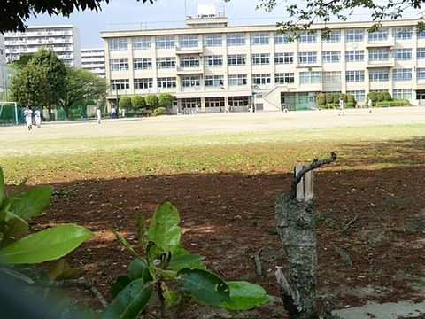 徒歩約7分